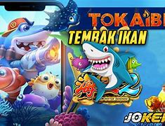 Slot Tembak Ikan Terbaru 2024 Apk Judi